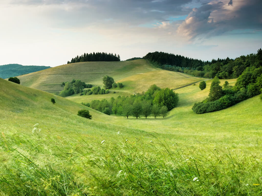 False Fake Prosthetic Breasts Silicone and Saline Implants on big boob whore ChimeraCostumes featuring Emma Cove and Heidi Corinne looking like top 10 biggest breast implants 